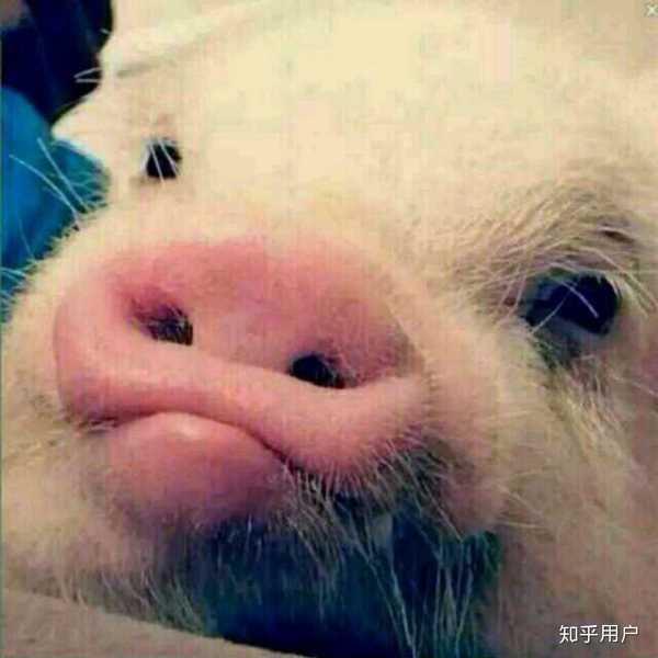 好看的人微信头像都是什么样的?
