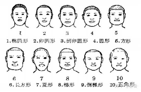 波契 boych 分类法,字形分类法,亚洲人脸型分类法,中国人脸型分类法等