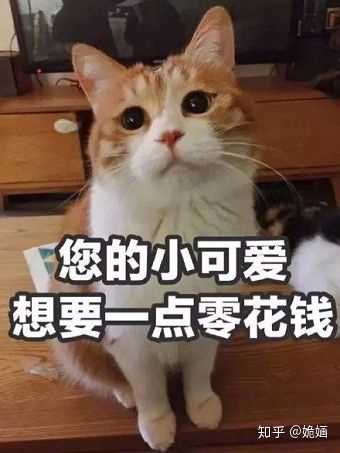 有什么适合在要钱时候用的表情包?