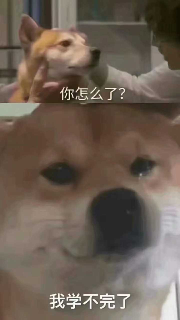 有哪些特别沙雕的表情包?