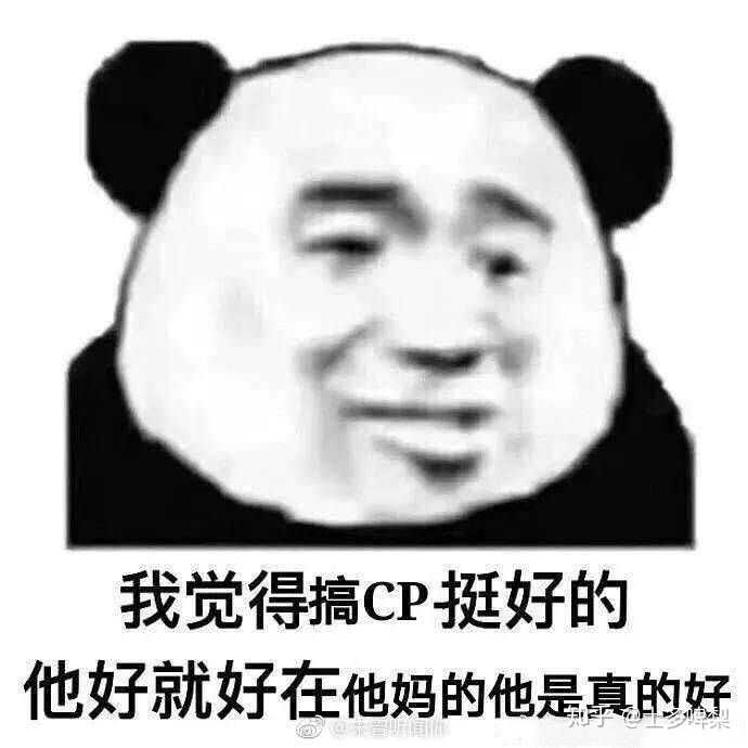 有哪些嗑cp的表情包?