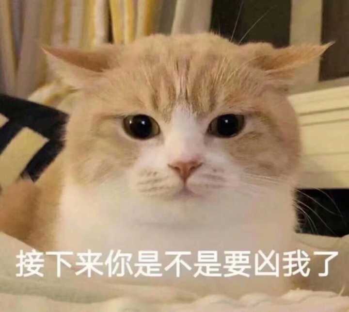 有没有那种适合给女朋友发的小表情包?