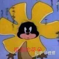 有那些沙雕微信头像?