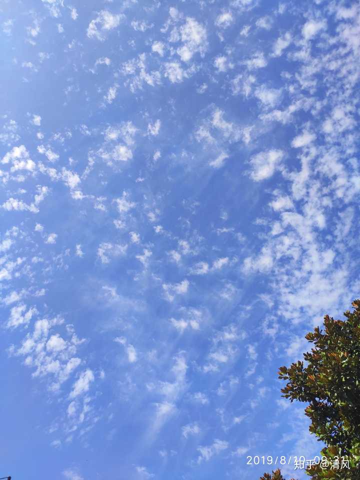 喜欢看夕阳,喜欢看云卷云舒,喜欢看艳阳高照,喜欢看安静的夜幕.