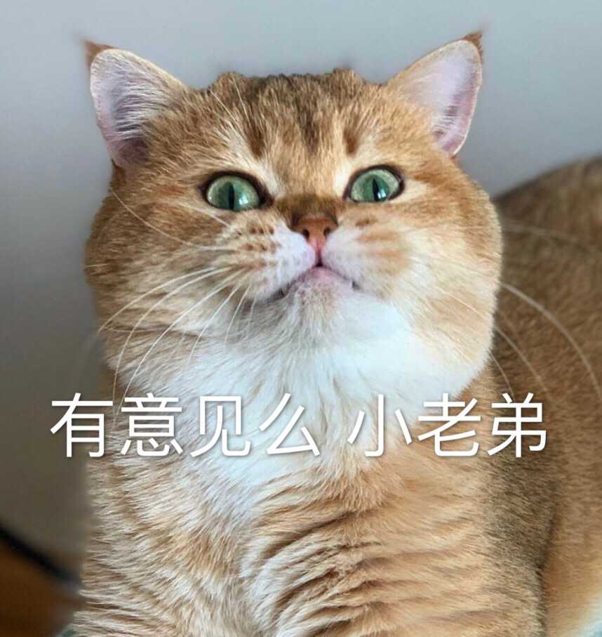 是时候发一组高颜值猫猫表情包了   显示全部