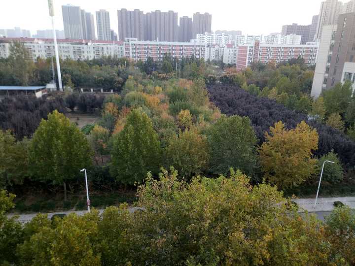 在河南工业大学(haut)就读是什么体验?
