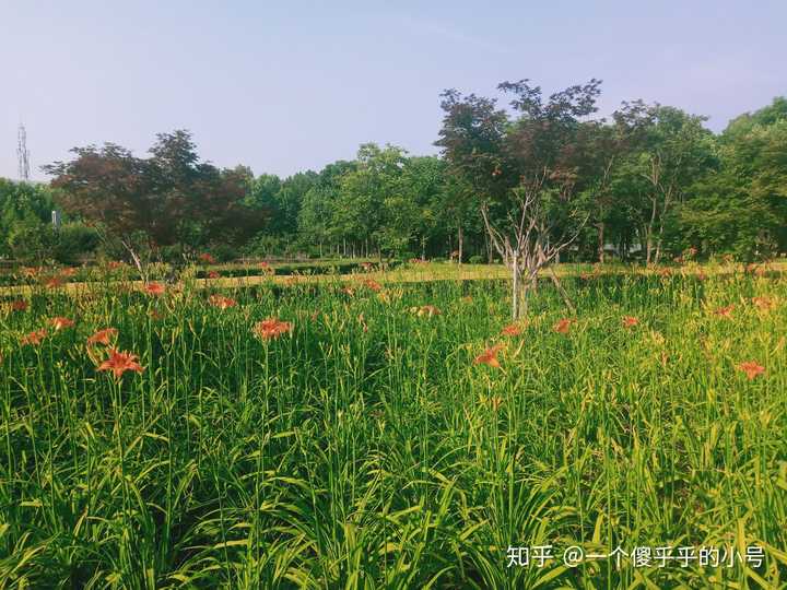 济宁学院的校园环境如何