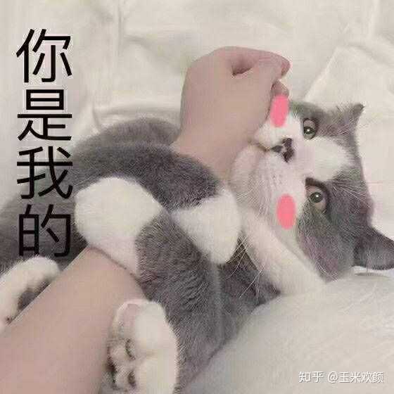 有哪些可以哄男朋友开心的表情包?