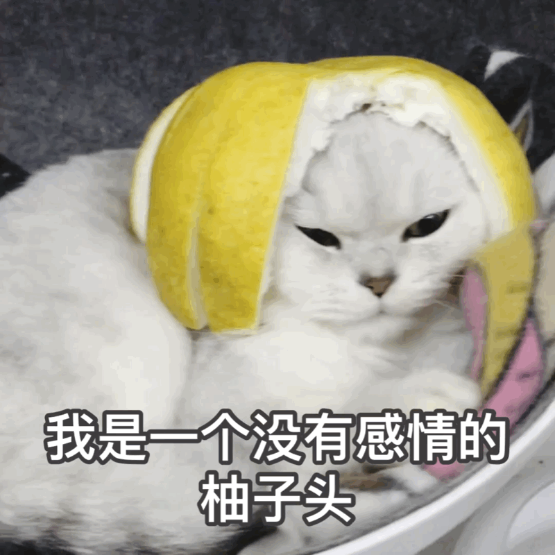 有哪些微信迷你可爱适合女孩子的表情包?