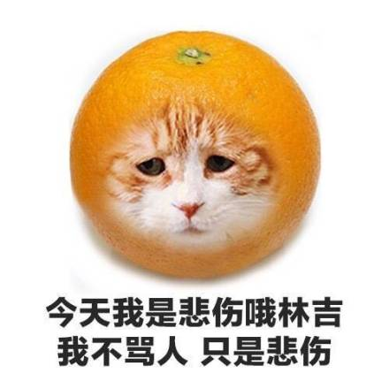 表情包能揭示一个人的心理状态吗?