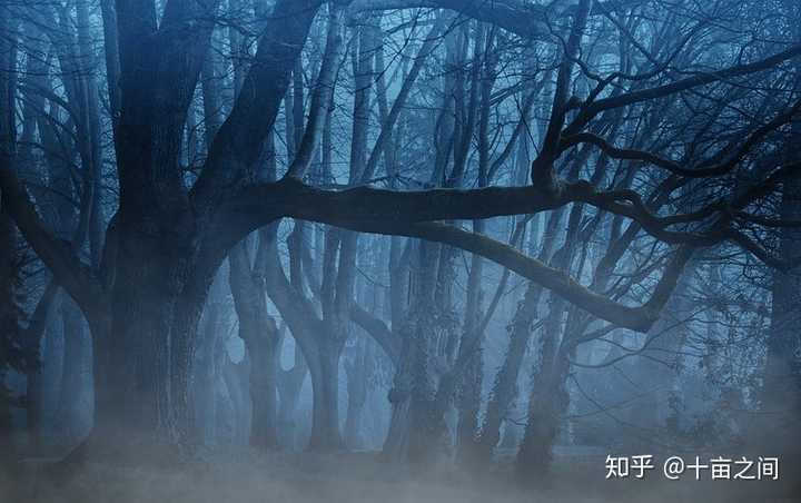 有哪些击中你内心阴暗处的句子?