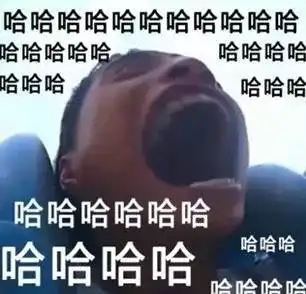 这个时候扔一张表情包过去:"自己体会",何况,表情包还是快乐的源泉哩