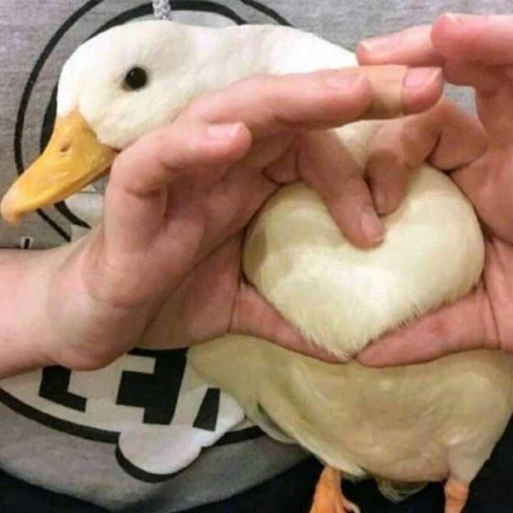 拉屎吗姐妹