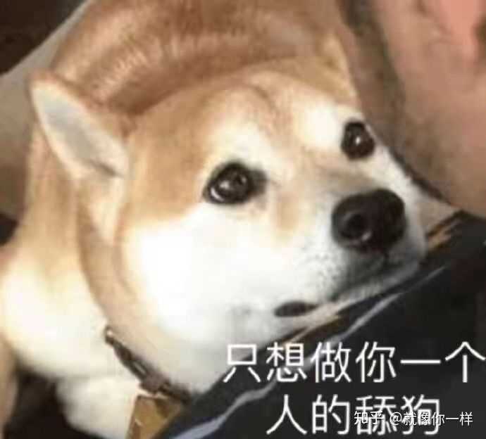 对不起,我没救了.