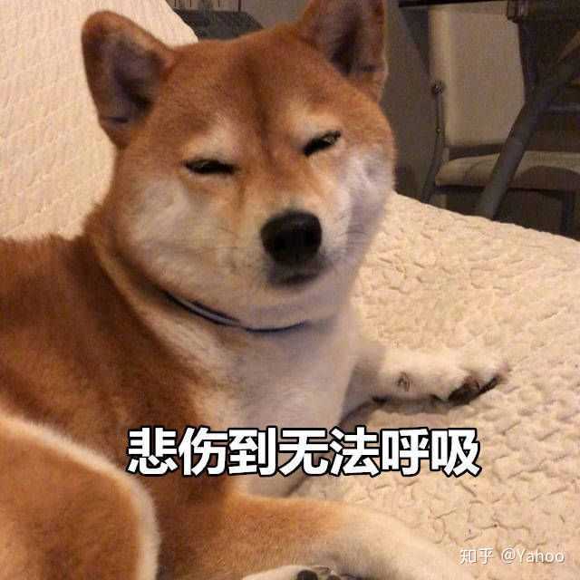 有一个又懒又嚼舌根的室友是什么体验 恶心?