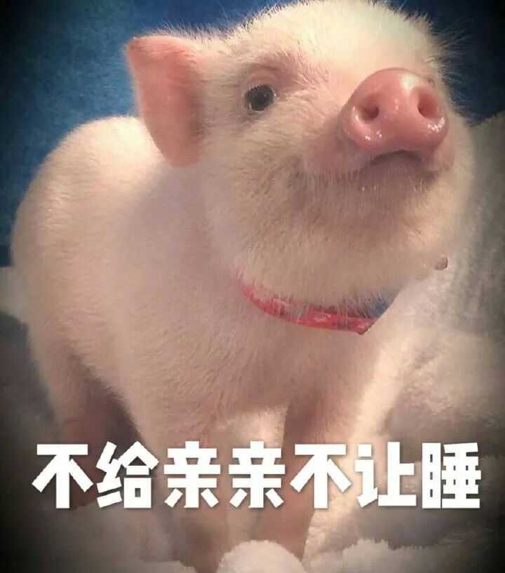 有哪些可以哄女朋友的表情包?