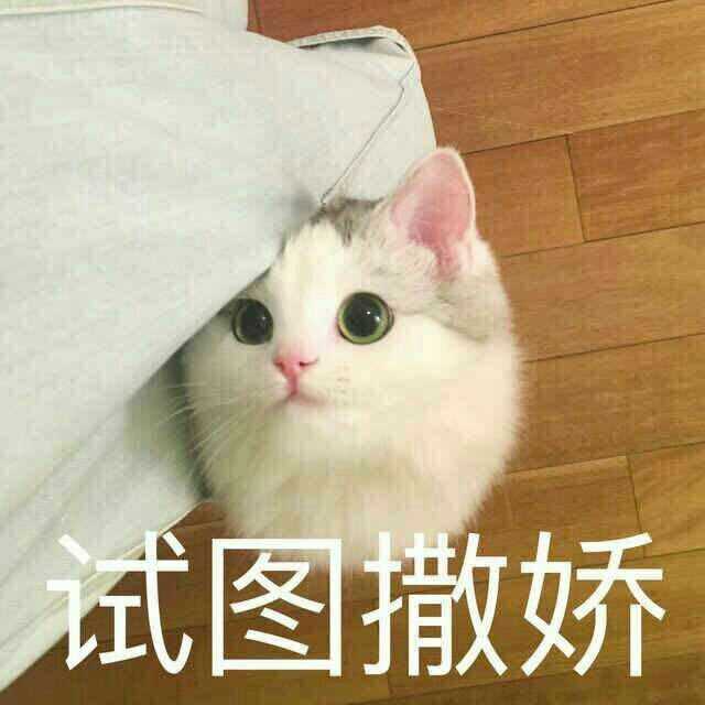 有哪些可爱的表情包?