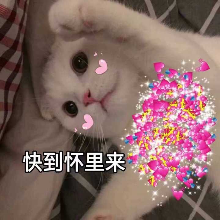 被室友称为表情包大佬的我不能再低调了_(:з」∠)_ 可爱的表情当然