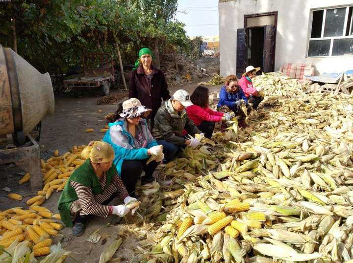 如何看待小伙带女神回农村老家过年洋气漂亮惹人羡慕不干活却遭家人