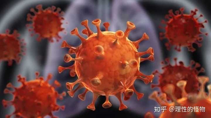求科普新型冠状病毒传播机理及身体免疫过程