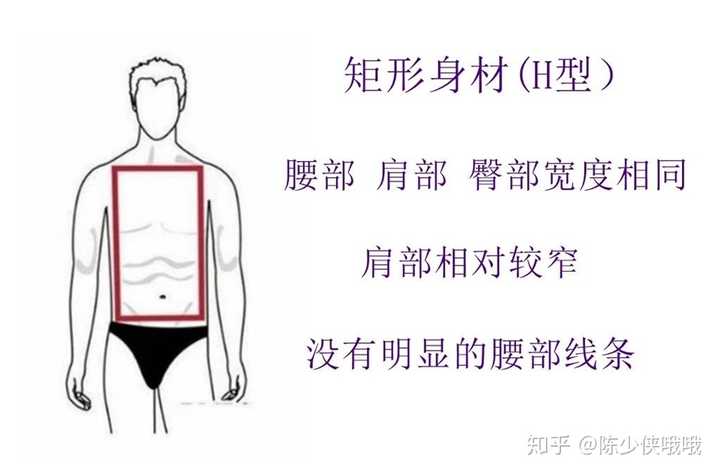 倒三角型身材的人肌肉比较发达,胳膊和肩部的线条也较明显.因为倒三