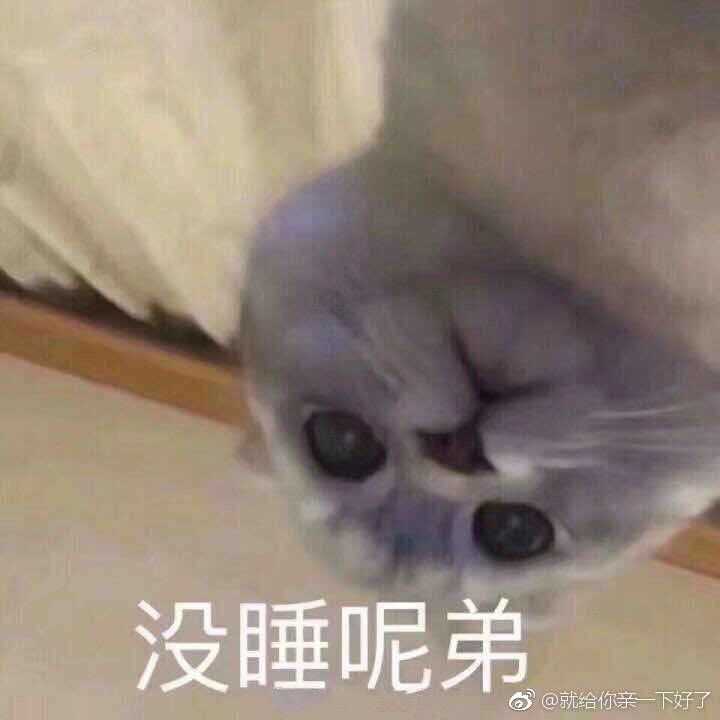 有没有什么早安晚安的表情包?