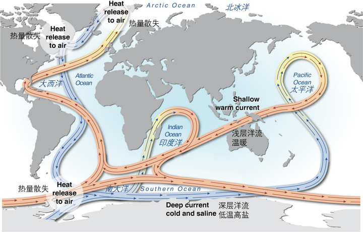 驱动全球海水大规模交换的温盐环流   图源@grida.no