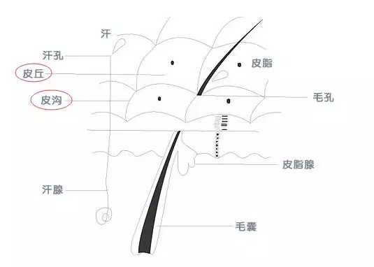 为什么擦了防晒霜还会晒黑?