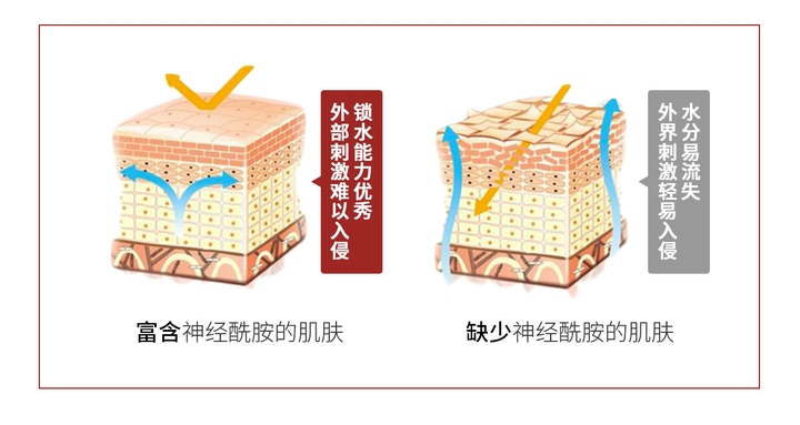 神经酰胺的护肤品长时间使用会有依赖性吗适合20岁皮肤吗