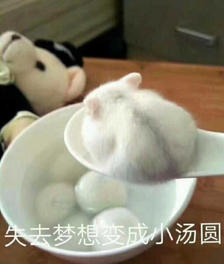 你有哪些让你一秒变开心的表情包?