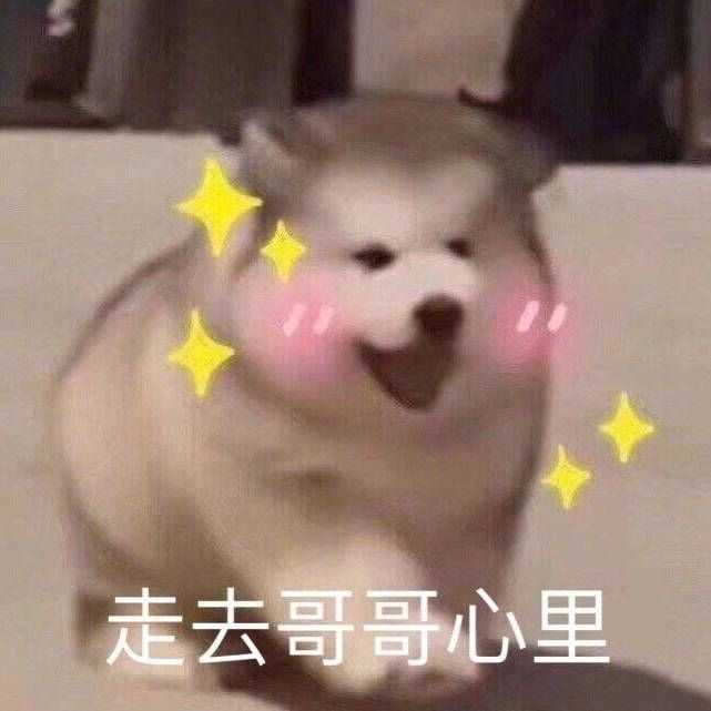 有哪些可以哄男朋友开心的表情包?