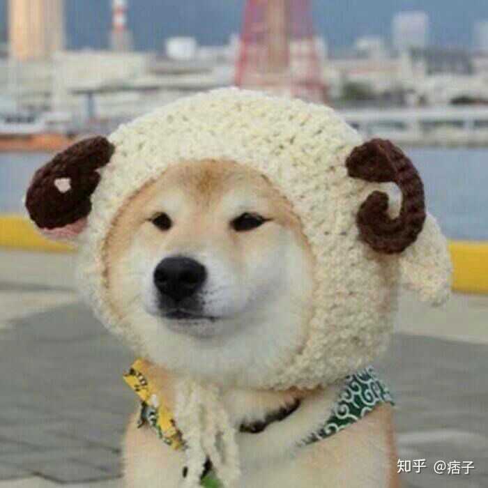 还是最喜欢最后一个,皮一下很开心.