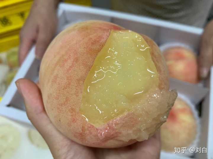 湖景蜜露·阳山水蜜桃