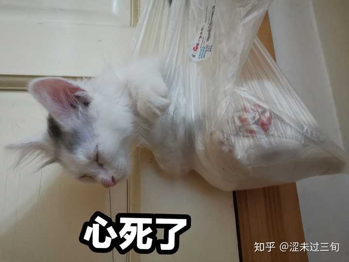 说到表情包,那就再来几张吧