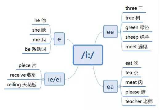 初级阶段 0-3000词汇量 方法一:思维导图整理音标读音 在这个阶段需要