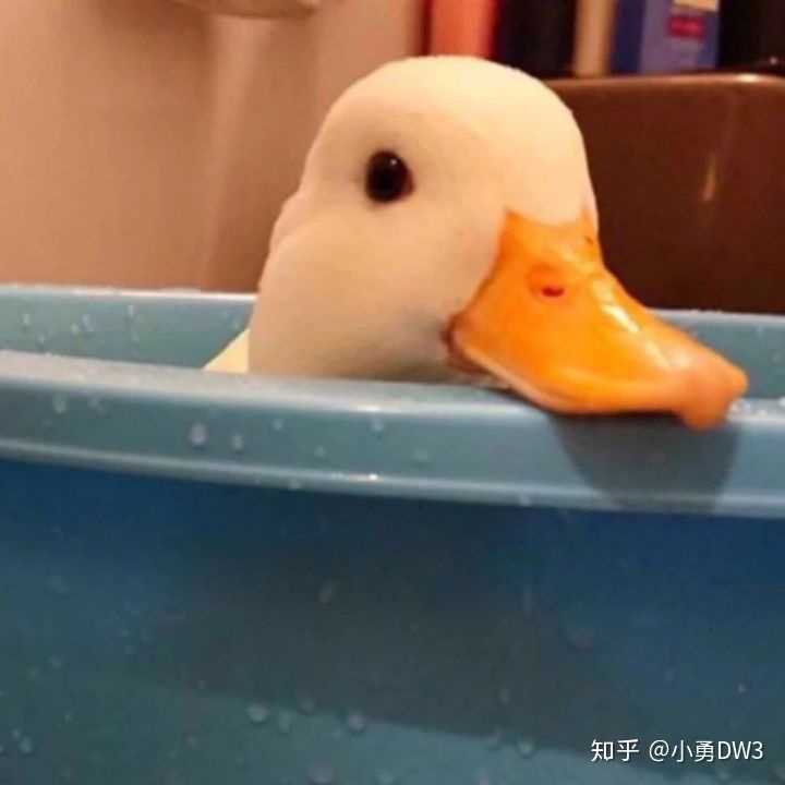 有没有心情不好适合换的头像?