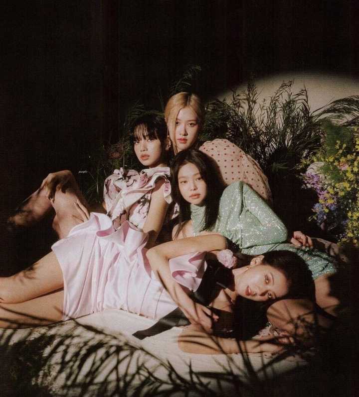 有哪些你认为是 blackpink 任一成员最为惊艳值得分享