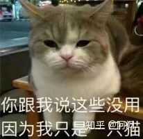 聊天时喜欢用可爱表情包的男生,是不是代表他经常和女生聊天呢?