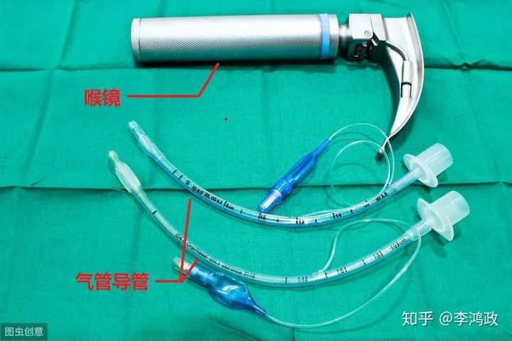 (这是气管插管的装备:喉镜&导管)