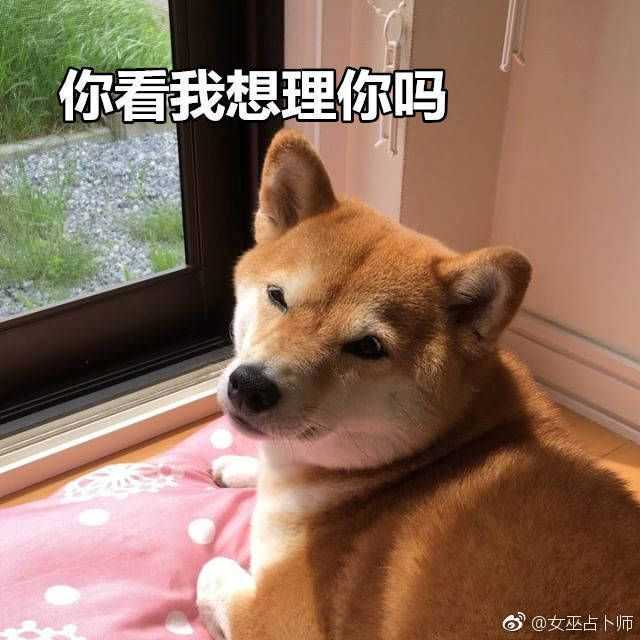有没有可以在班级群打卡晨练时表达烦躁心情的头像?