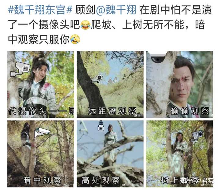 四:当顾剑知道小枫失忆后感慨了一声"忘川之水,在于忘情,难怪她把我