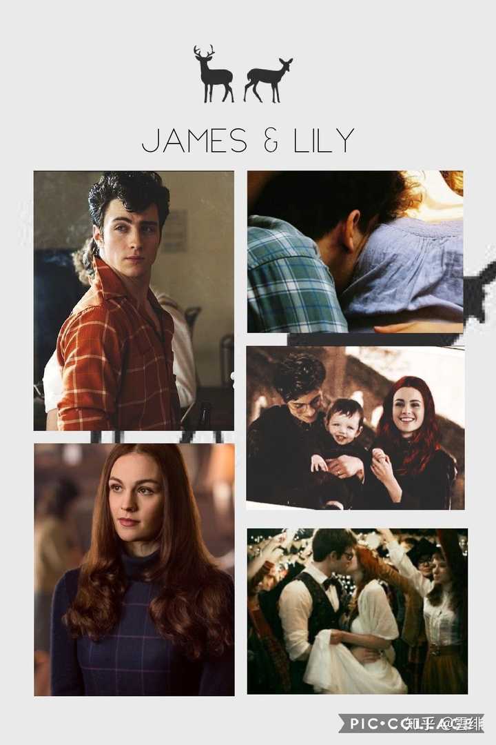 【詹姆斯·波特】 james potter