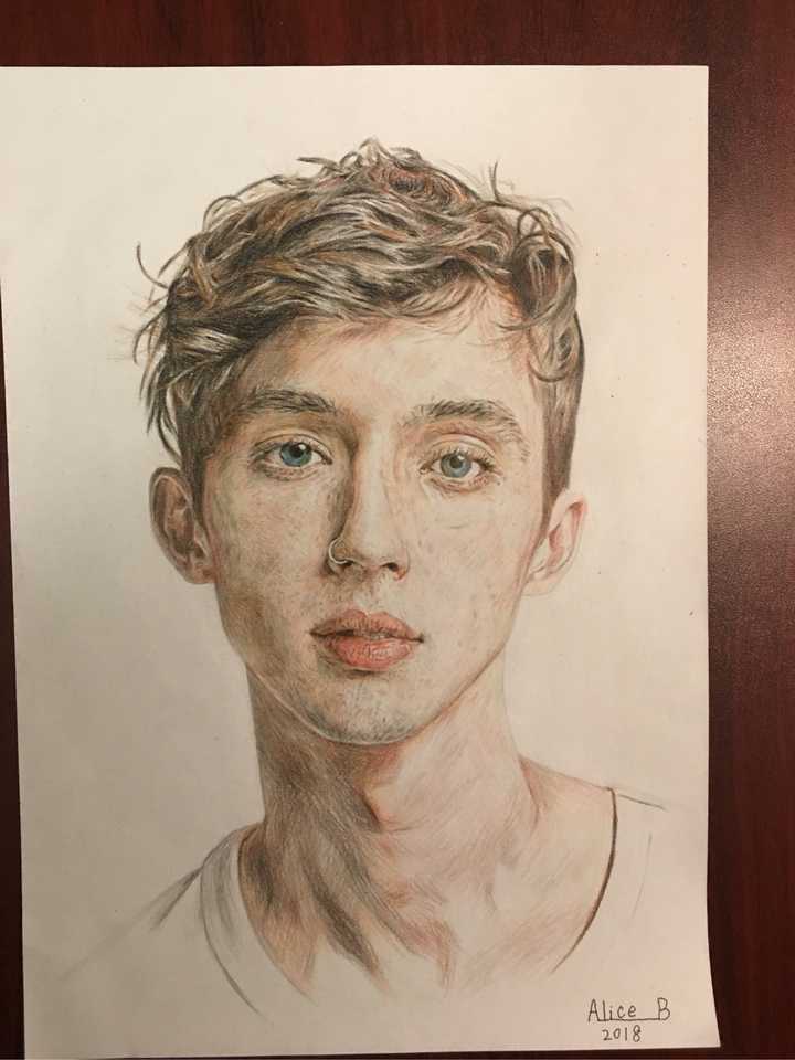 我画的troye sivan (好像还可以)