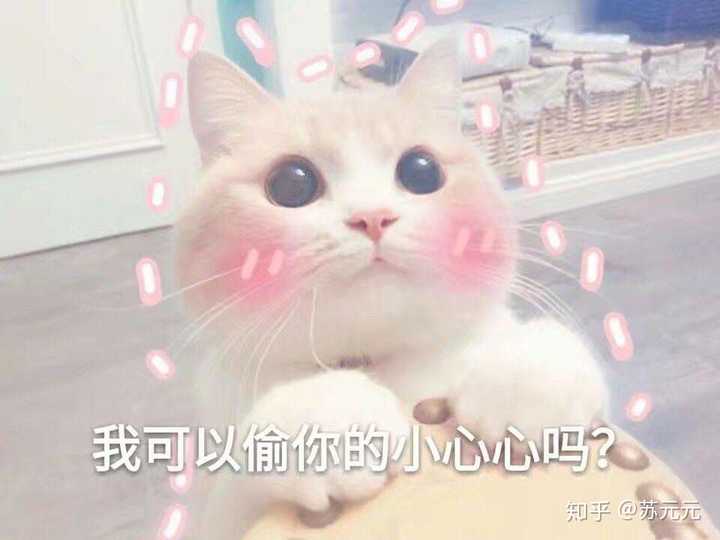 有没有适合和心上人聊天发的表情包鸭,那种可爱一点的