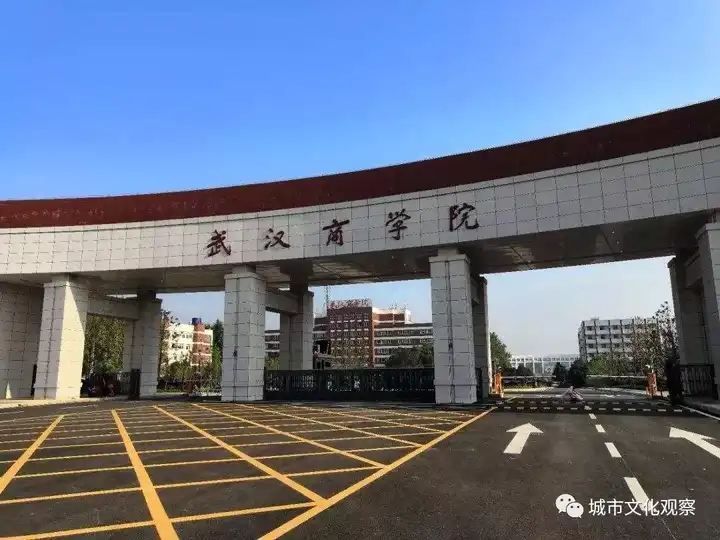 经过充分调研和政策指导,武汉软件工程职业学院,武汉城市职业学院