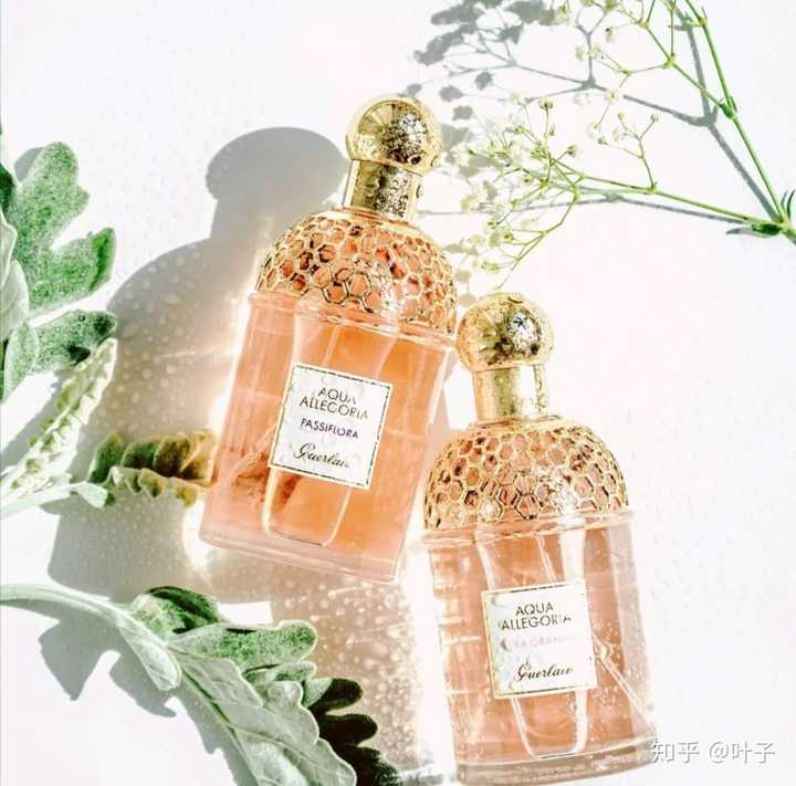 如何评价娇兰花草水语系列香水?