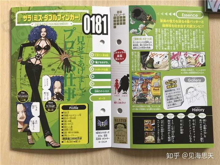 《海贼王》里的恶魔果实图鉴是怎样的?