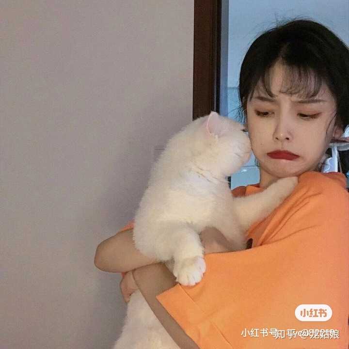 这四十个电话也是员工推荐的,但是没有来看过房子)让我们去打,加微信