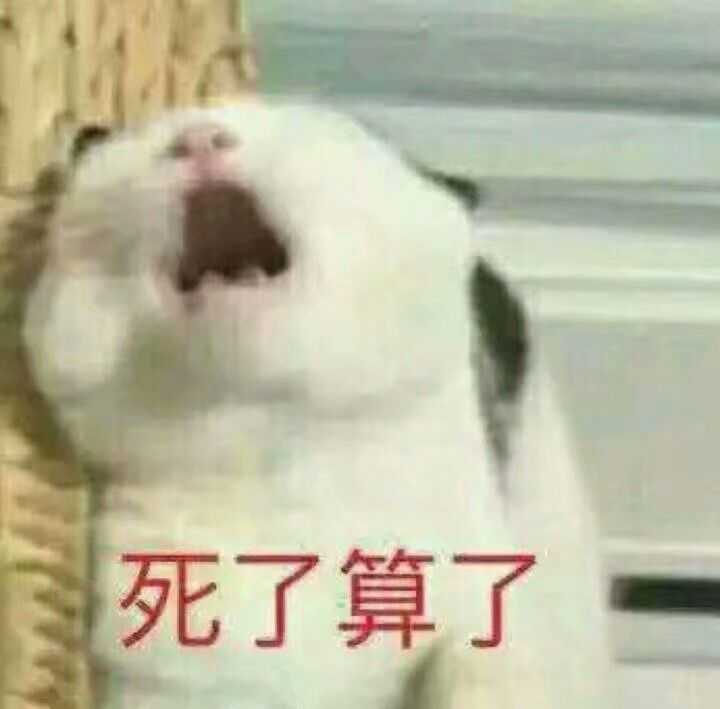 有哪些能把人死的表情包?