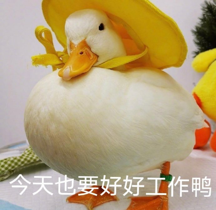 有没有适合发朋友圈的可爱文案?